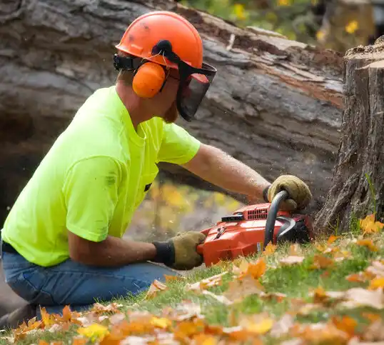 tree services Somerdale